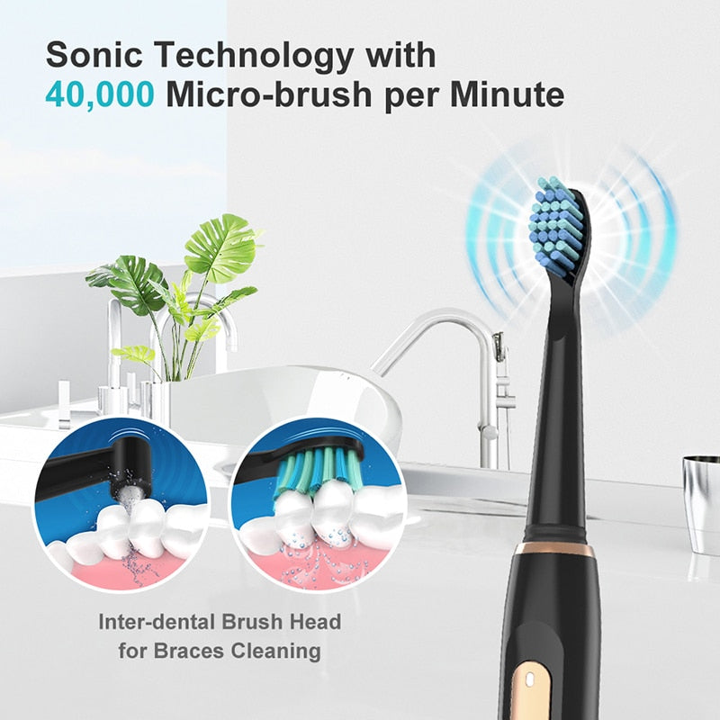 Electric 551 D1 Timer Brush 4 Modes