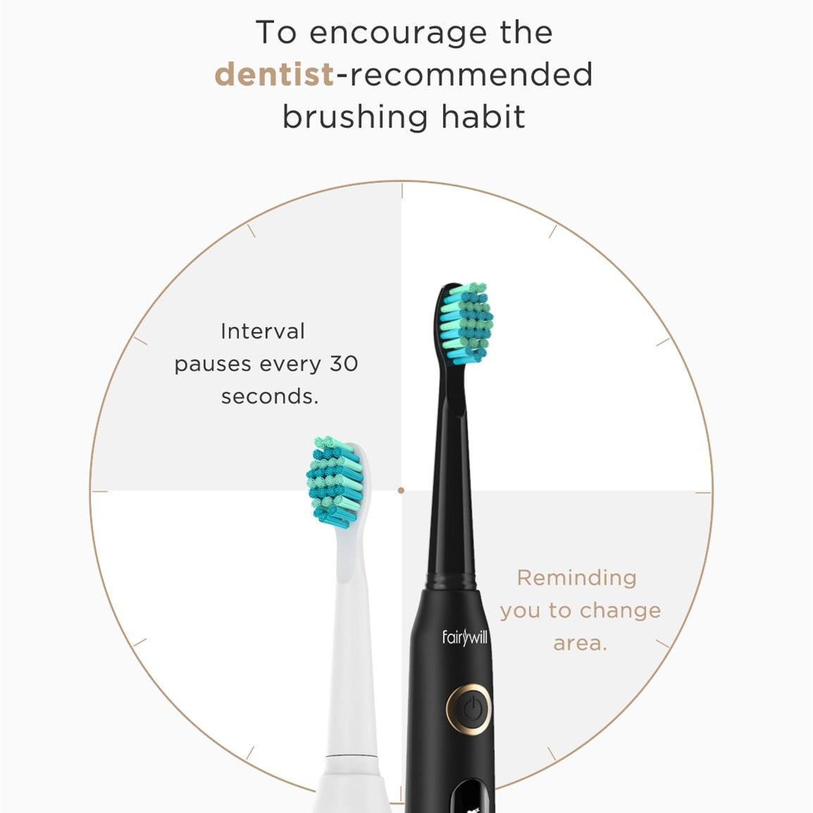 Electric Sonic USB Charge Tooth Brushes